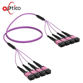 32 Патч-корд MPO до MPO APC OM4 OM5